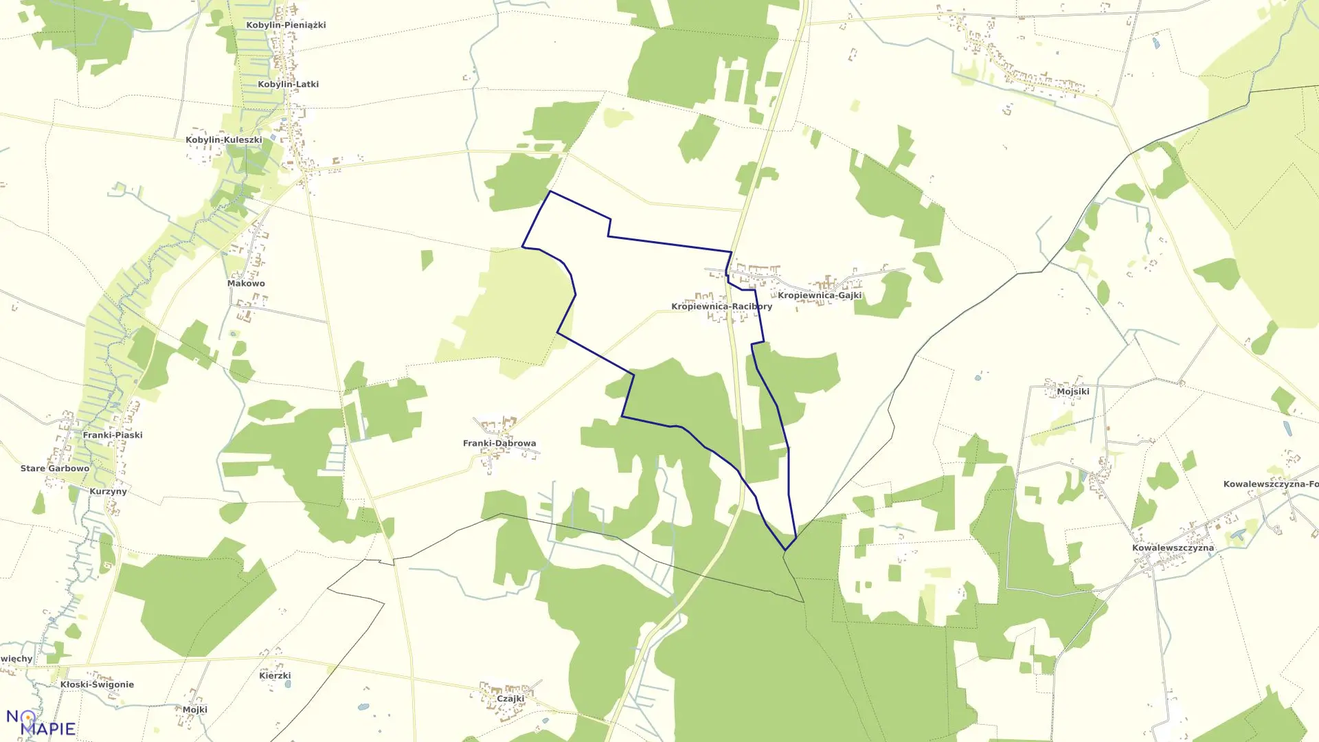 Mapa obrębu KROPIEWNICA-RACIBORY w gminie Kobylin-Borzymy